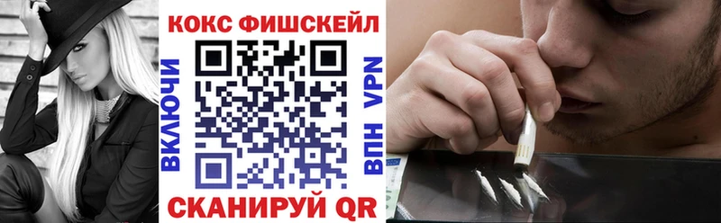 где можно купить наркотик  Починок  COCAIN Fish Scale 