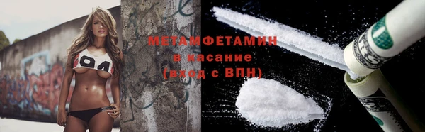 прущие грибы Абаза