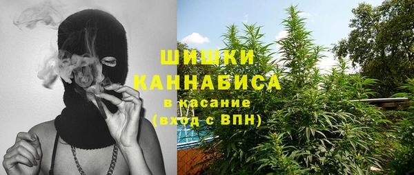 крисы Абдулино
