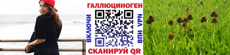 Галлюциногенные грибы мицелий Починок