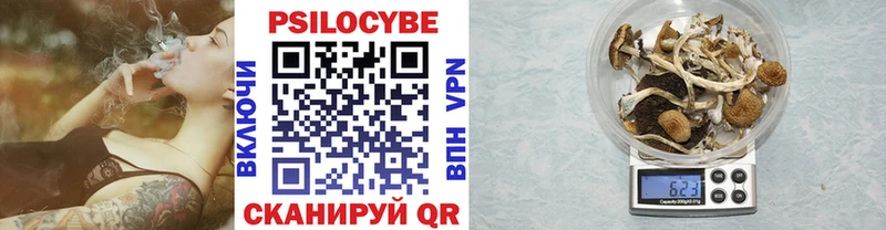 Псилоцибиновые грибы прущие грибы  Починок 